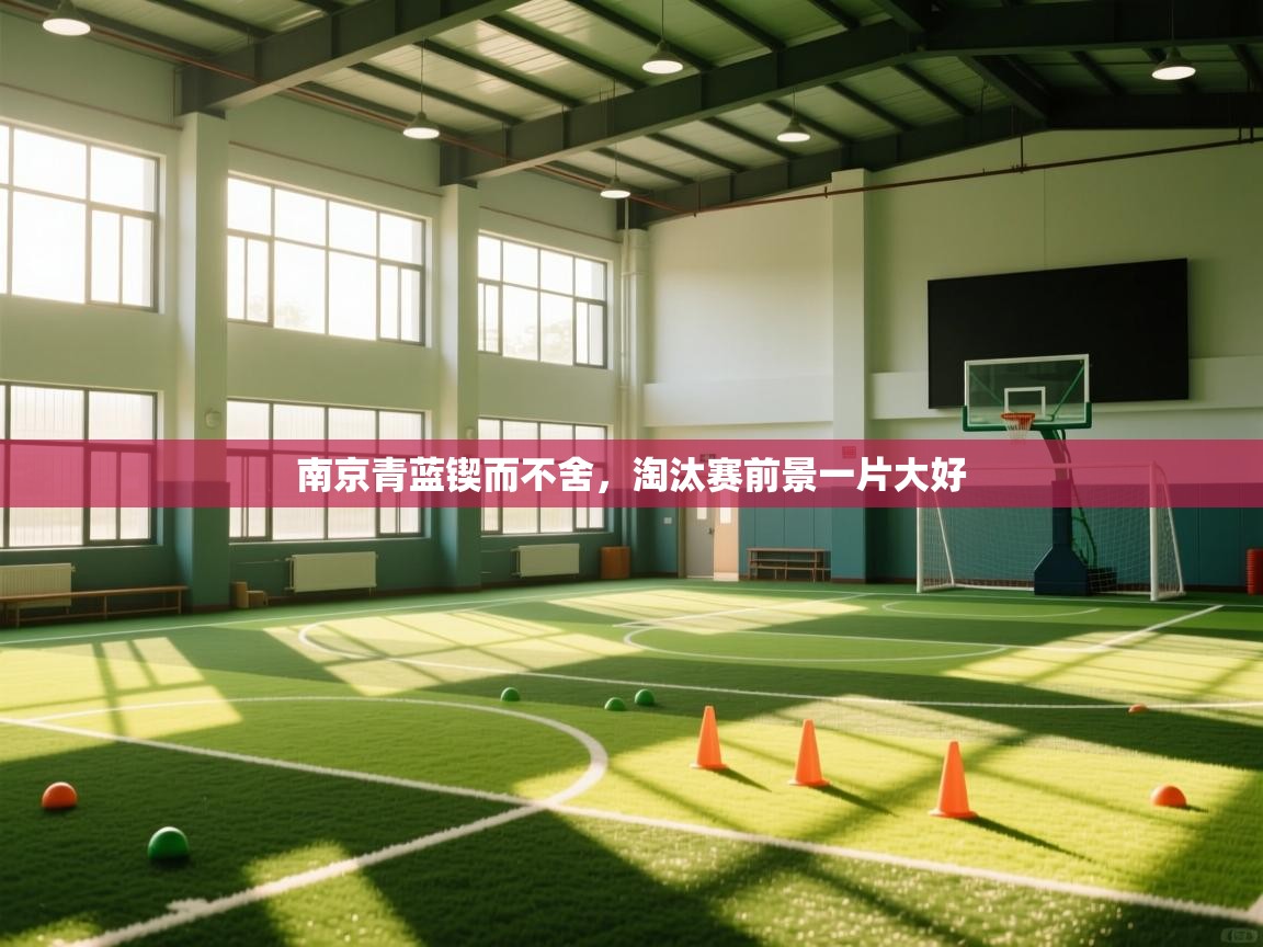 南京青蓝锲而不舍,淘汰赛前景一片大好 第2张